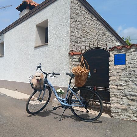 Authentic Istria&Pet Friendly Apartment Banko Near Rovinj Kanfanar Exteriér fotografie