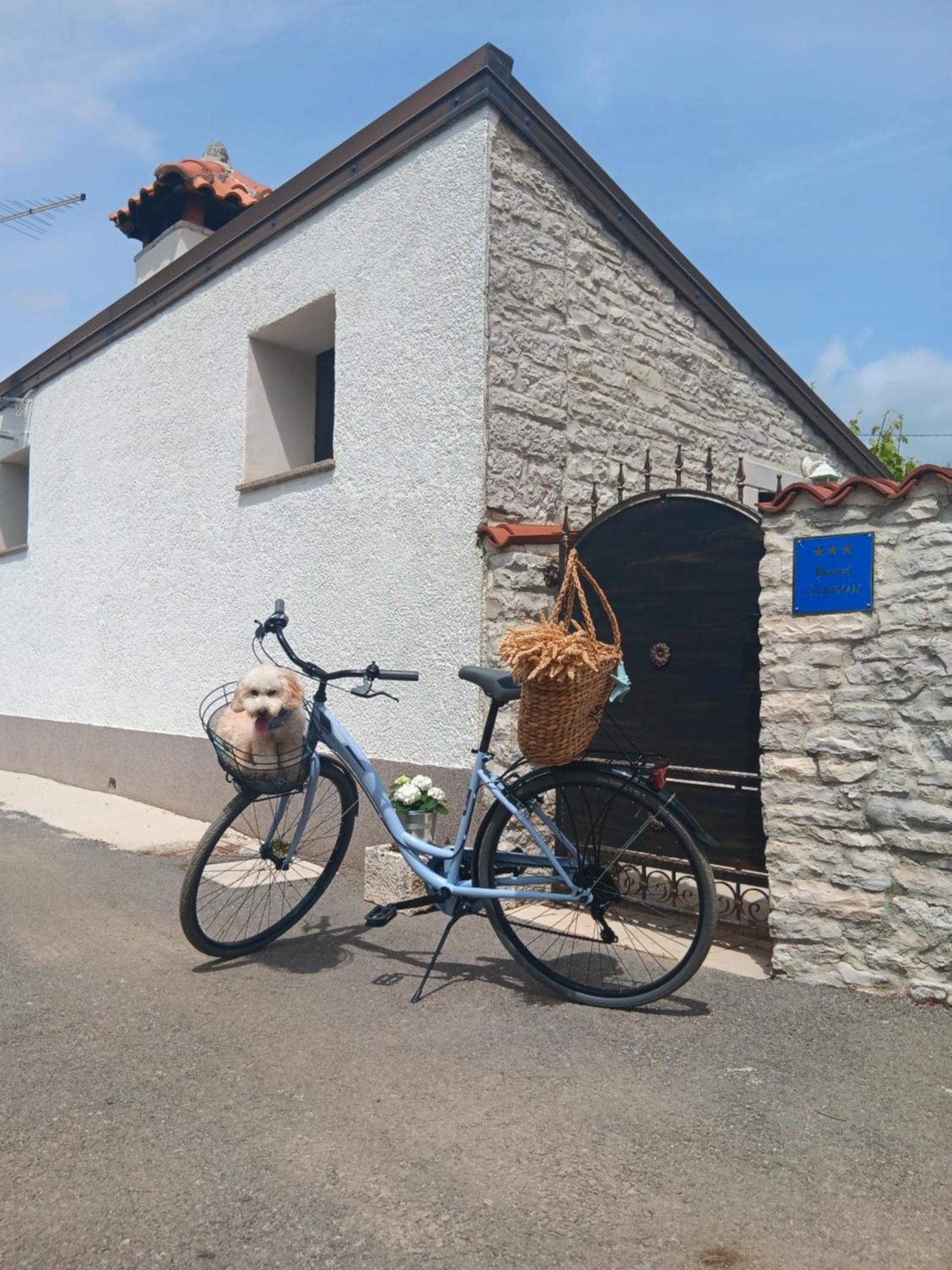 Authentic Istria&Pet Friendly Apartment Banko Near Rovinj Kanfanar Exteriér fotografie
