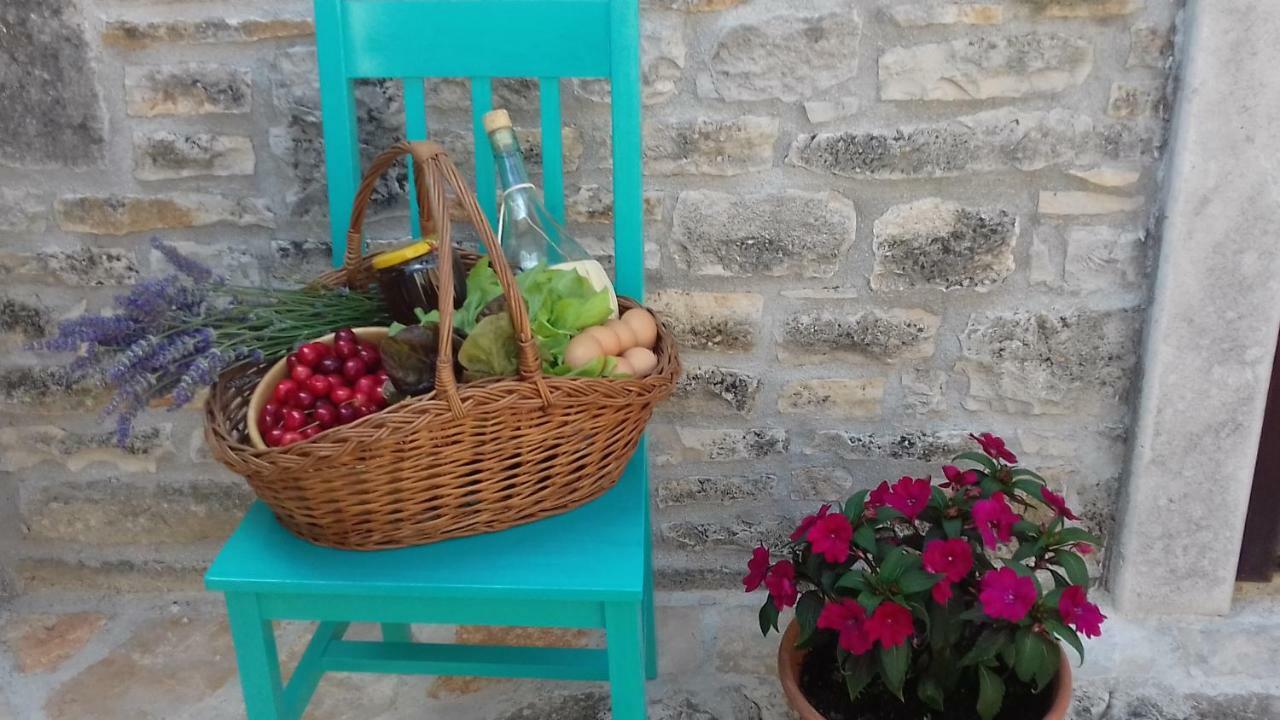 Authentic Istria&Pet Friendly Apartment Banko Near Rovinj Kanfanar Exteriér fotografie