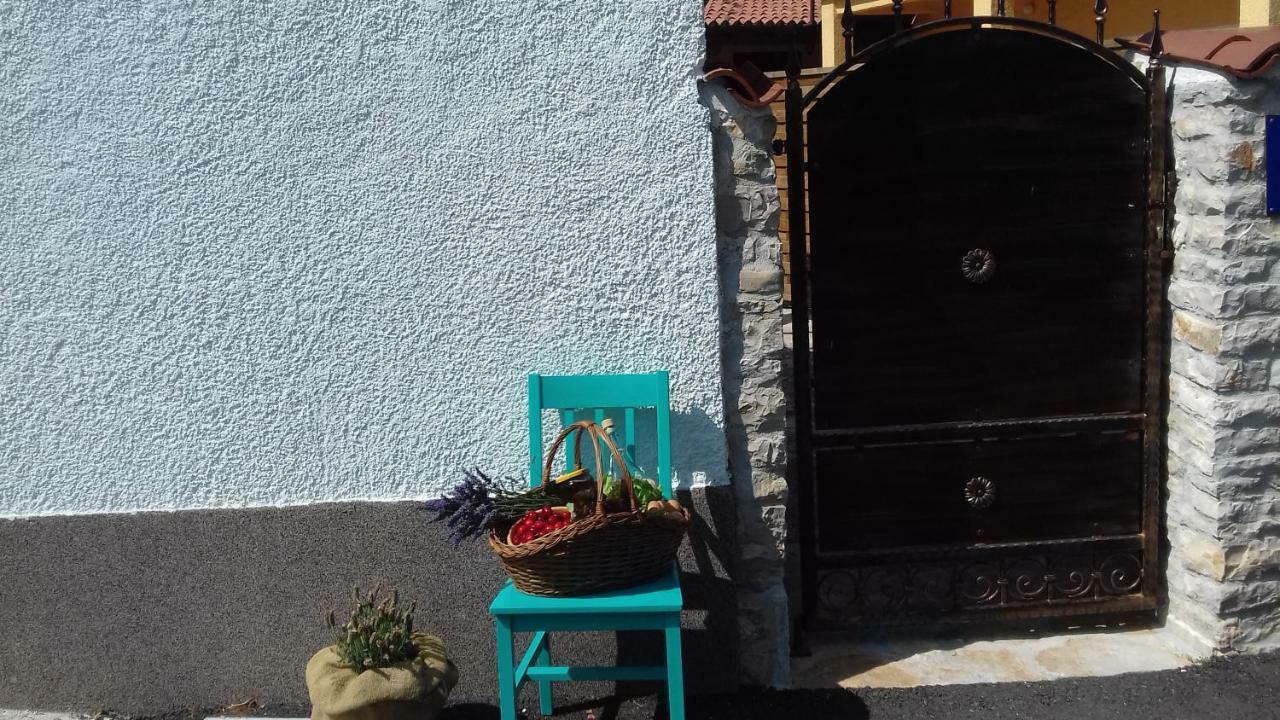 Authentic Istria&Pet Friendly Apartment Banko Near Rovinj Kanfanar Exteriér fotografie